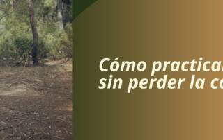 Desapego